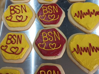 BSN Logo Cookies